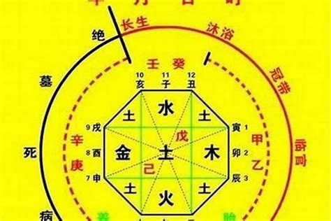 喜用神为金|八字喜用神是什么 八字喜用神如何确定